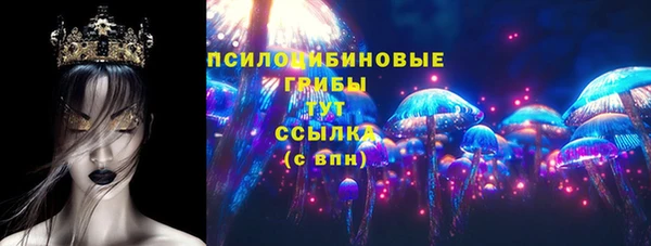 PSILOCYBIN Беломорск